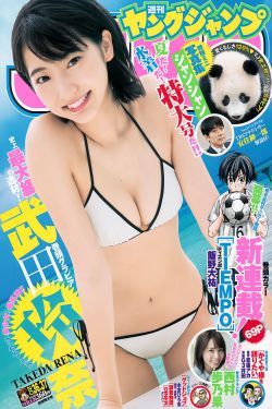 守护美女城英雄密码